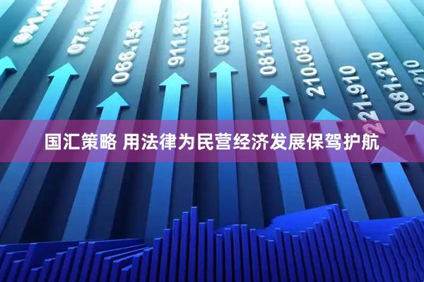 国汇策略 用法律为民营经济发展保驾护航